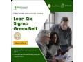 master-process-improvement-with-lean-six-sigma-training-small-0