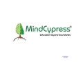 mindcypress-small-0